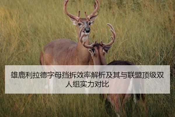 雄鹿利拉德字母挡拆效率解析及其与联盟顶级双人组实力对比